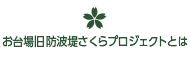 お台場旧防波堤さくらプロジェクトとは